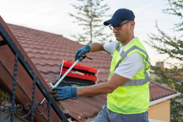 Thermal Imaging for Insulation Gaps in Hinsdale, IL